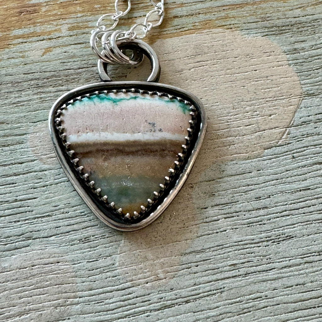 Opalized Petrified Wood